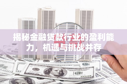 建阳揭秘金融贷款行业的盈利能力，机遇与挑战并存