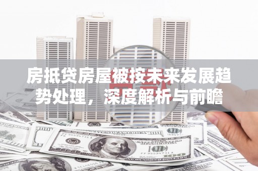 林州房抵贷房屋被按未来发展趋势处理，深度解析与前瞻